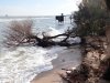 Размыв берега в ст.Голубицкой