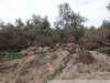 Свежая вырубка леса рядом с газовой скважиной