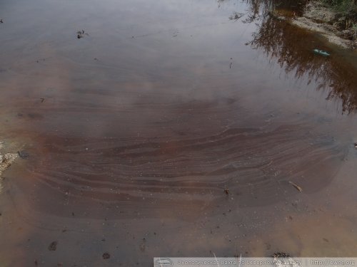 Вода возле газового завода покрыта нефтяной пленкой