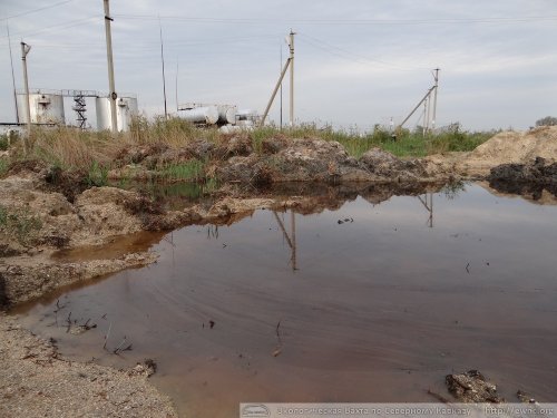 Вода возле газового завода покрыта нефтяной пленкой