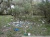 Лес завален мусором, оставленным отдыхающими