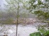 На отмелях лежат деревья, которые тащила река Шахе во время паводка