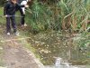 Замор рыбы в Покровских озерах