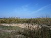 VIP коплекс хозяина "Золотого ларца" Сергея Сердюка