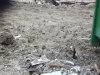 Чудесное исчезновение свалки ТБО из Кудепсты