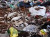 Свалка возле станицы Журавская