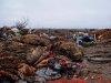 Свалка возле станицы Журавская
