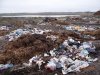 Свалка возле станицы Журавская