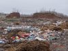 Свалка возле станицы Журавская
