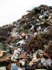 Свалка возле станицы Журавская