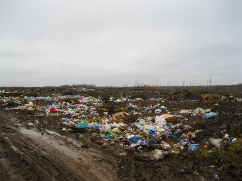Свалка возле станицы Журавская
