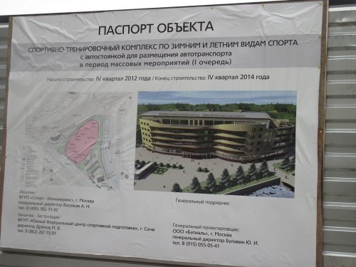 Вырубка сосны Пицундской в Сочи 