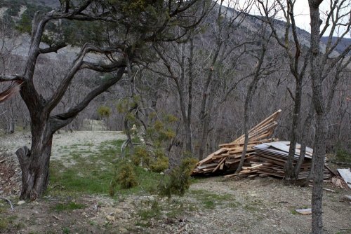 Общественная инспекция участка под строительство "дачи Ткачёва" на Утрише