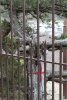 Общественная инспекция участка под строительство "дачи Ткачёва" на Утрише