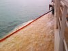 Из-за аварии в порту «Тамань» в акваторию Черного моря попало растительное масло