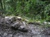 Нарушение природоохранного законодательства на територии Кавказского заповедника. Река Шахе.