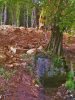 Общественная инспекция в мкр. Бытха