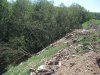 При подготовке площадки для нового строительства частично засыпан прилегающий лес