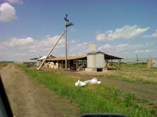Последствия тепличного производства в Северском районе