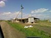 Последствия тепличного производства в Северском районе