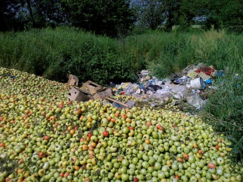 Последствия тепличного производства в Северском районе
