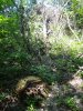 (2013.06.28) Вырубка леса вблизи экопоселения "Сказочный край" (ст. Григорьевская)
