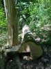 (2013.06.28) Вырубка леса вблизи экопоселения "Сказочный край" (ст. Григорьевская)