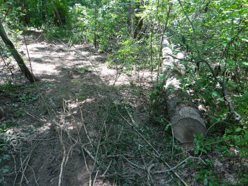 (2013.06.28) Вырубка леса вблизи экопоселения "Сказочный край" (ст. Григорьевская)