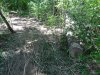 (2013.06.28) Вырубка леса вблизи экопоселения "Сказочный край" (ст. Григорьевская)