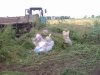 (2013.07.17) Схрон пестицидов в с.Львовское (Северский район)