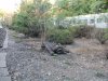 Последствия обработки ЖД полотна гербицидами в г. Туапсе