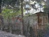 Последствия обработки ЖД полотна гербицидами в г. Туапсе