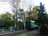 Последствия обработки ЖД полотна гербицидами в г. Туапсе