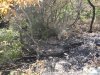 Один из очагов пожара, который не разгорелся так как того ожидали его организаторы