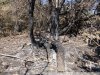 Один из очагов пожара, который не разгорелся так как того ожидали его организаторы