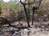 Один из очагов пожара, который не разгорелся так как того ожидали его организаторы