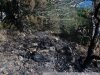 Один из очагов пожара, который не разгорелся так как того ожидали его организаторы