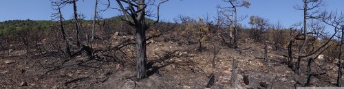 Панорама выгоревшей пустыни на месте пожара