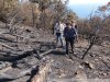 Активисты ЭкоВахты осматривают место пожара