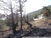 Станция водозабора комплекса "Фрегат" находится на краю пожарища, однако это не помешало распространению пожара