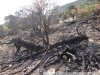 Станция водозабора с пожарным гидрантом примыкает к месту пожара