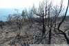 На месте пожара