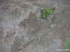 (2014.05.04) В парке "Южные Культуры" вывалили химикаты