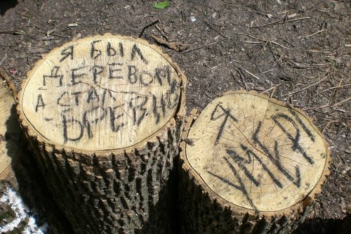 (2014.05.15) Против застройки рощи "Красная весна"