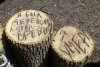 (2014.05.15) Против застройки рощи "Красная весна"