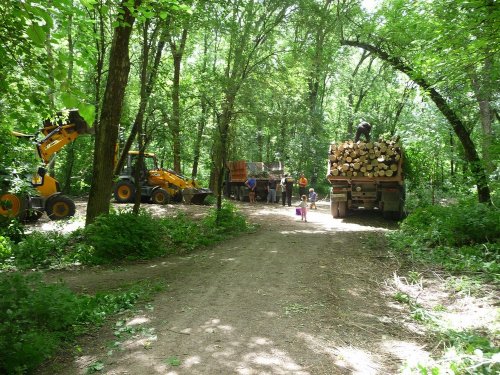 Возобновилась вырубка рощи "Красная Весна"