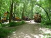 Возобновилась вырубка рощи "Красная Весна"