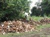 (2014.06.10) Вырубка Леса Дамзак