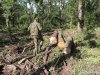 (2014.06.10) Вырубка Леса Дамзак