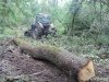 (2014.06.10) Вырубка Леса Дамзак